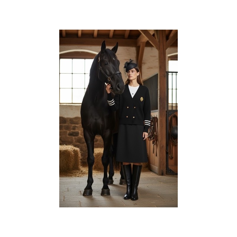 Gilet noir style universitaire chic – Maille fine avec écusson doré