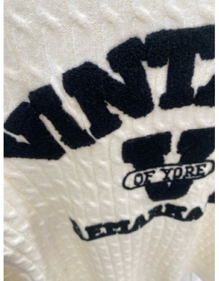 Pull vintage unisexe  – Sweat tendance en molleton premium avec logo brodé effet rétro